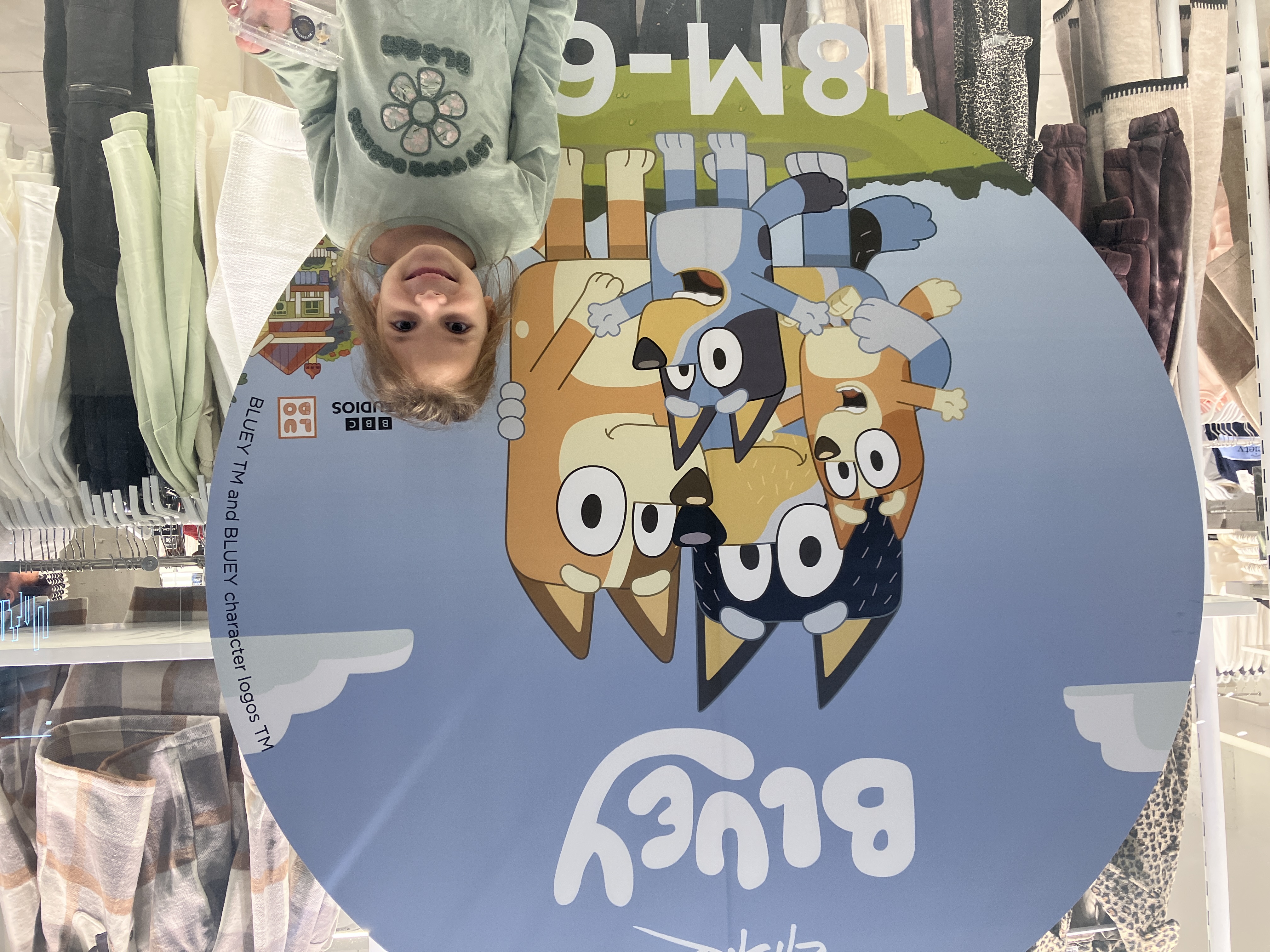 תמונת נחיתה